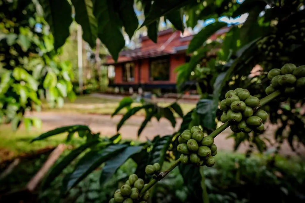 Villa Cozy 3 Bhk Poolvilla Near Nagerhole National Park. Wayanad